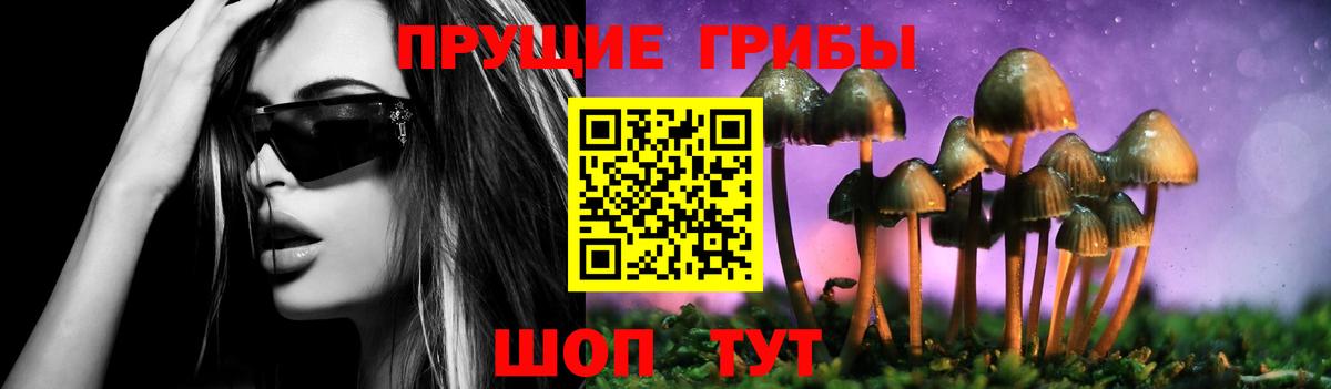 Галлюциногенные грибы Cubensis  Вход с VPN  Псилоцибиновые грибы ЛСД  Казань 